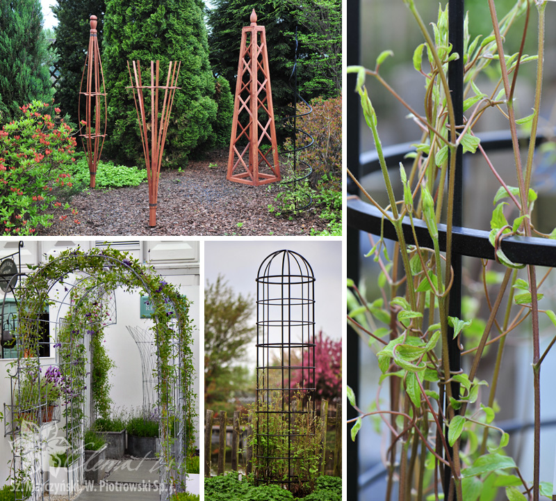 an Stützen im Garten an Stützen im Garten