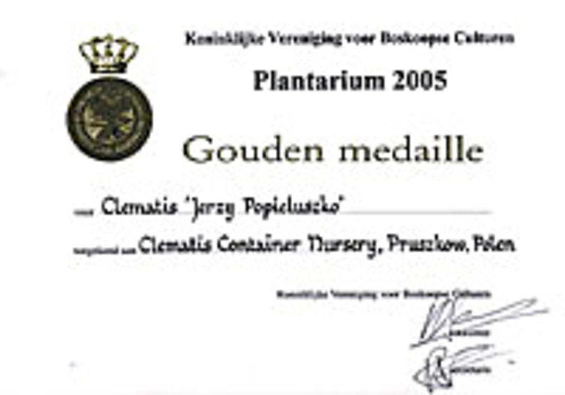Clematis ‘Jerzy Popiełuszko’ - złoty medal