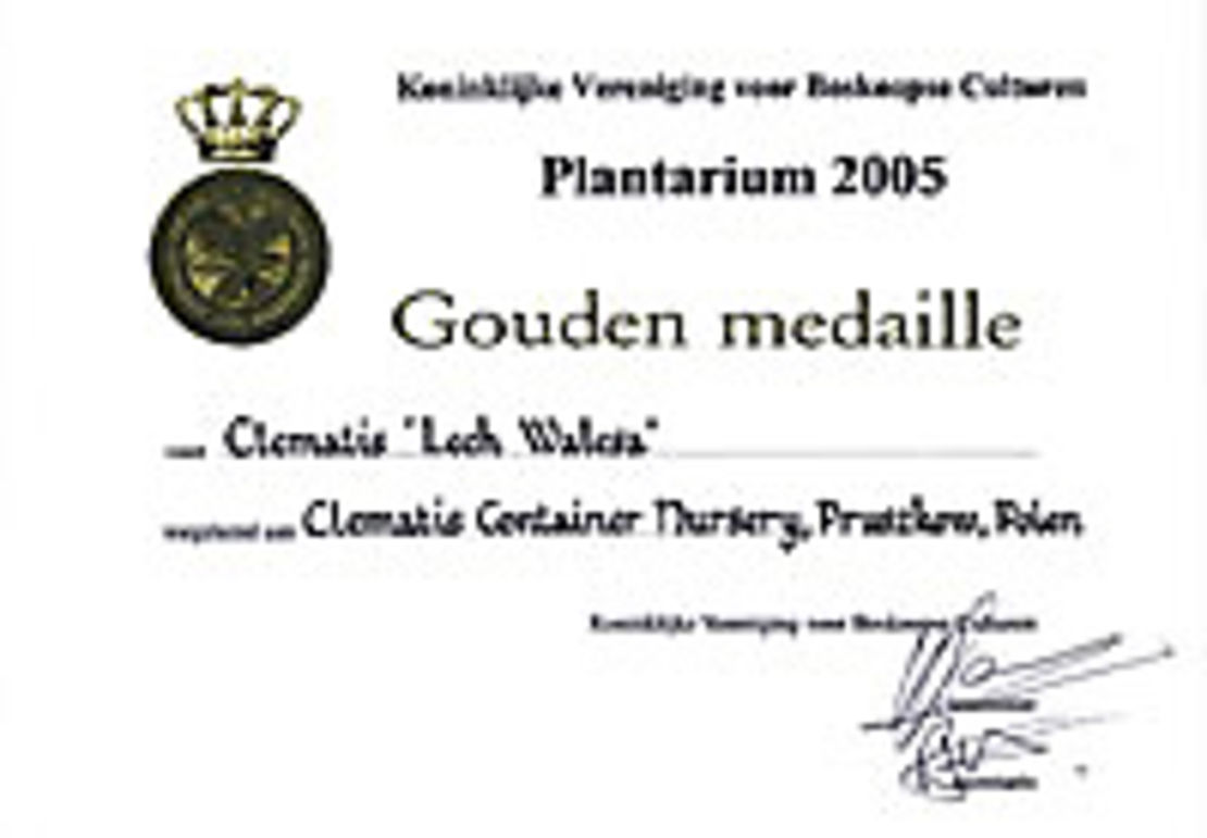 Clematis ‘Lech Wałęsa’ - złoty medal