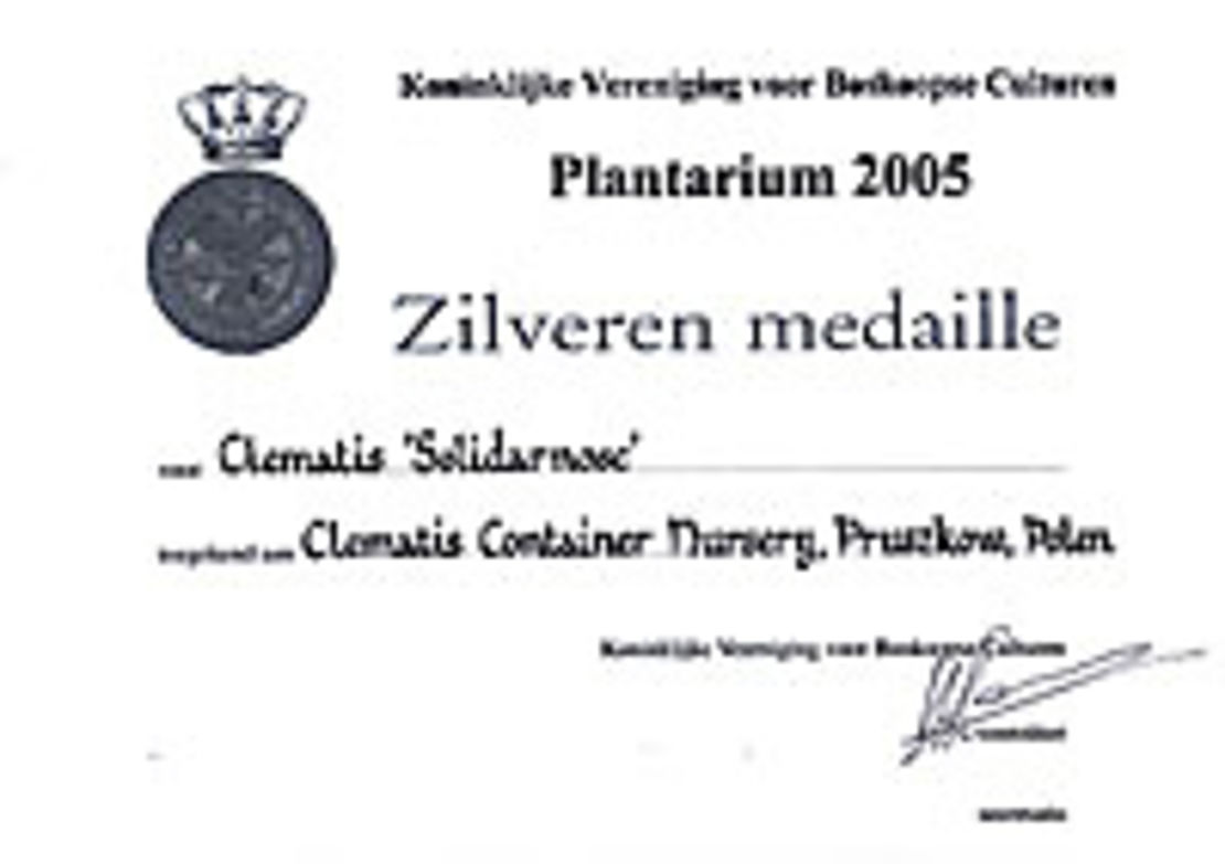Clematis ‘Solidarność’ - srebrny medal