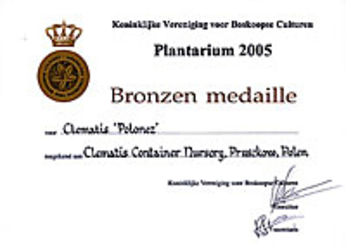 Clematis ‘Polonez’ - brązowy medal