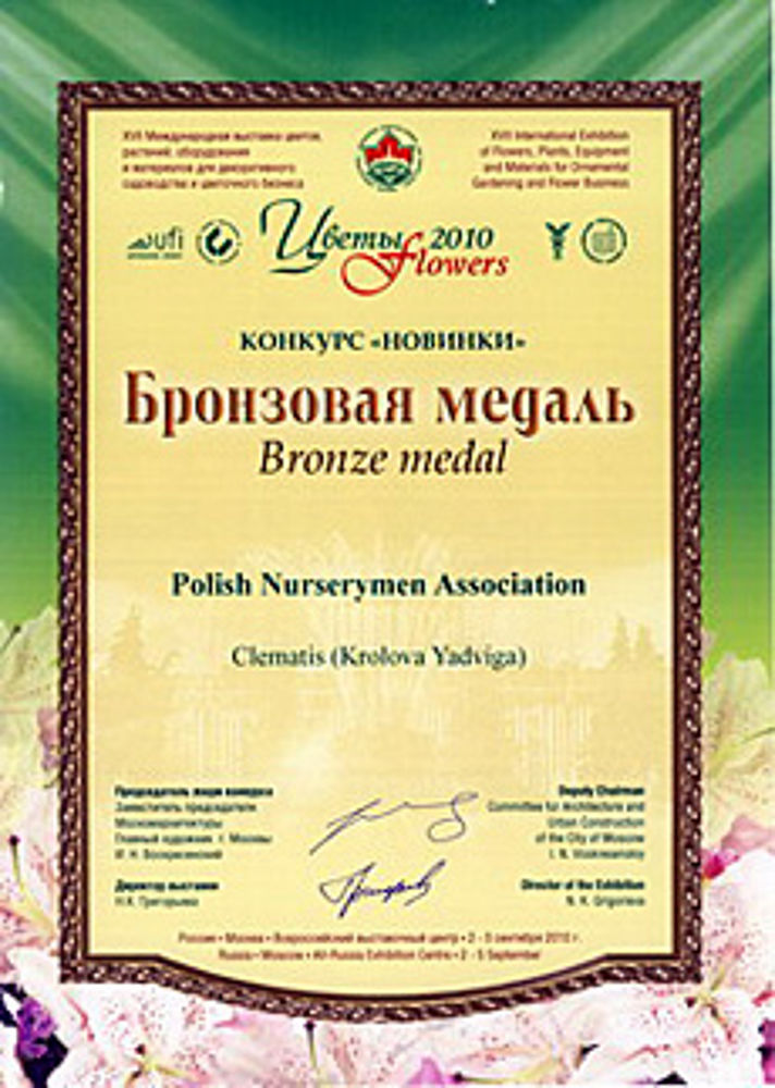 Clematis ‘Królowa Jadwiga’ was awarded the bronze medal