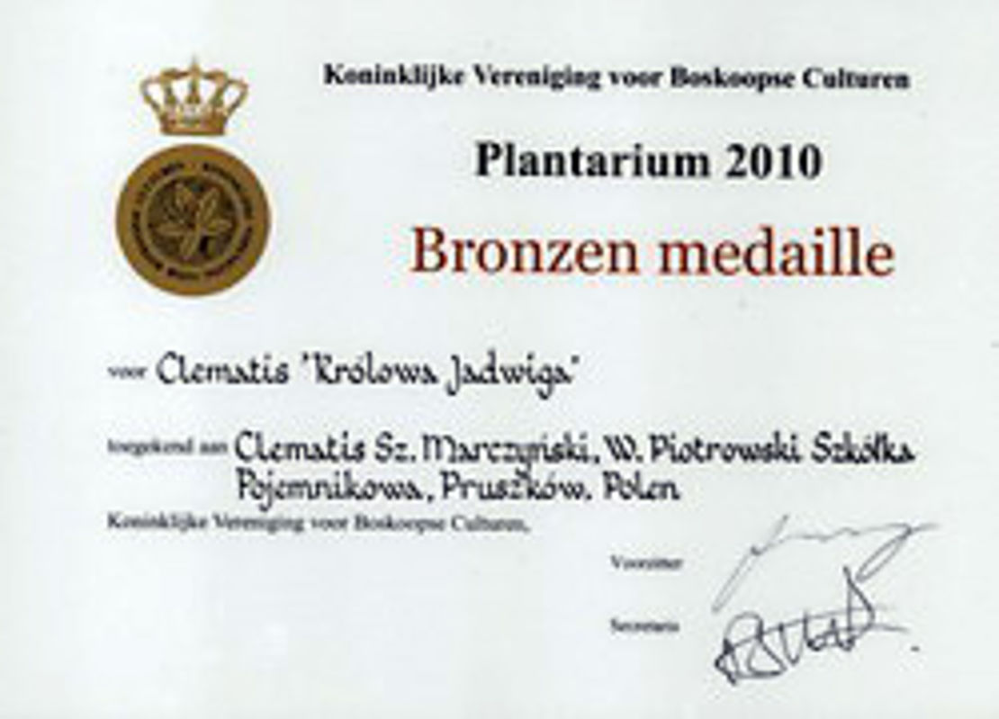 Wyroznienia2010 Plantarium brazowy medal Clematis Krolowa Jadwiga