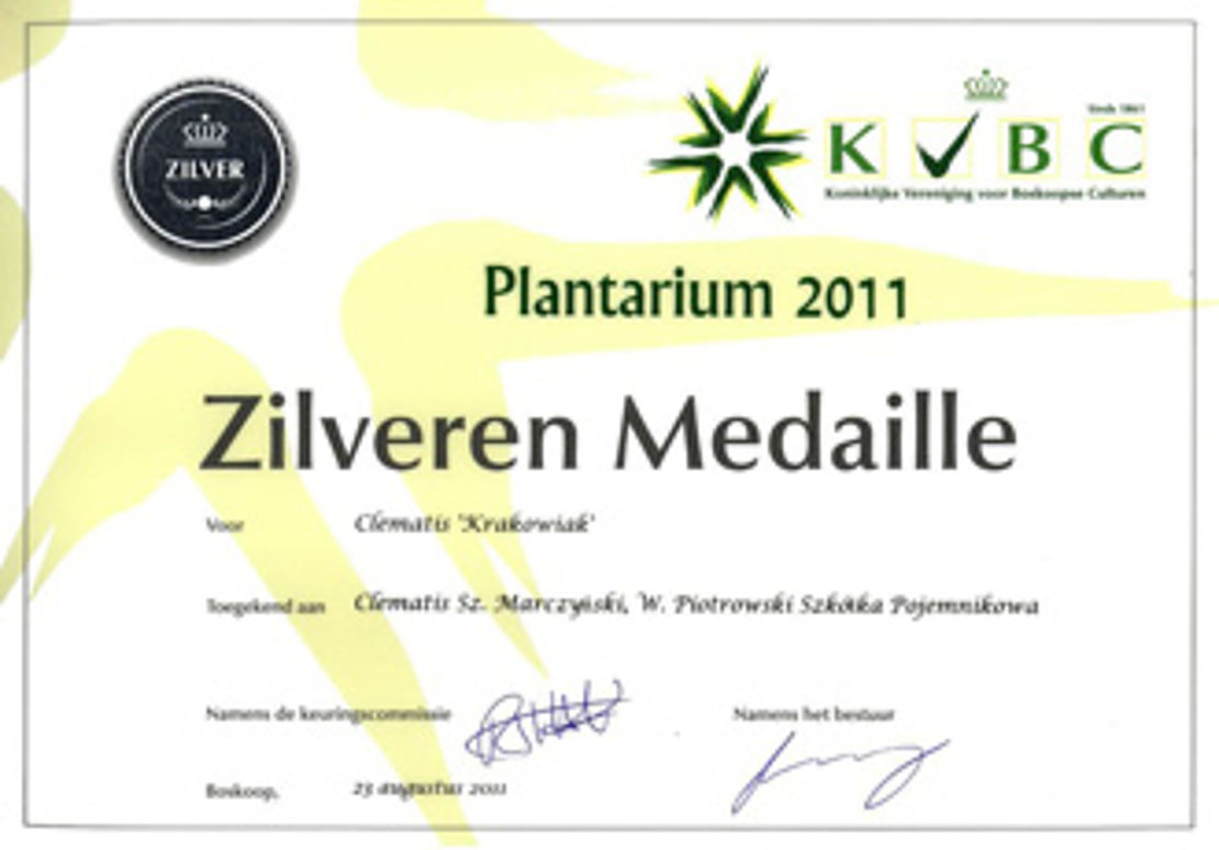Silver medal was awarded to 'Krakowiak' of Viticella Group