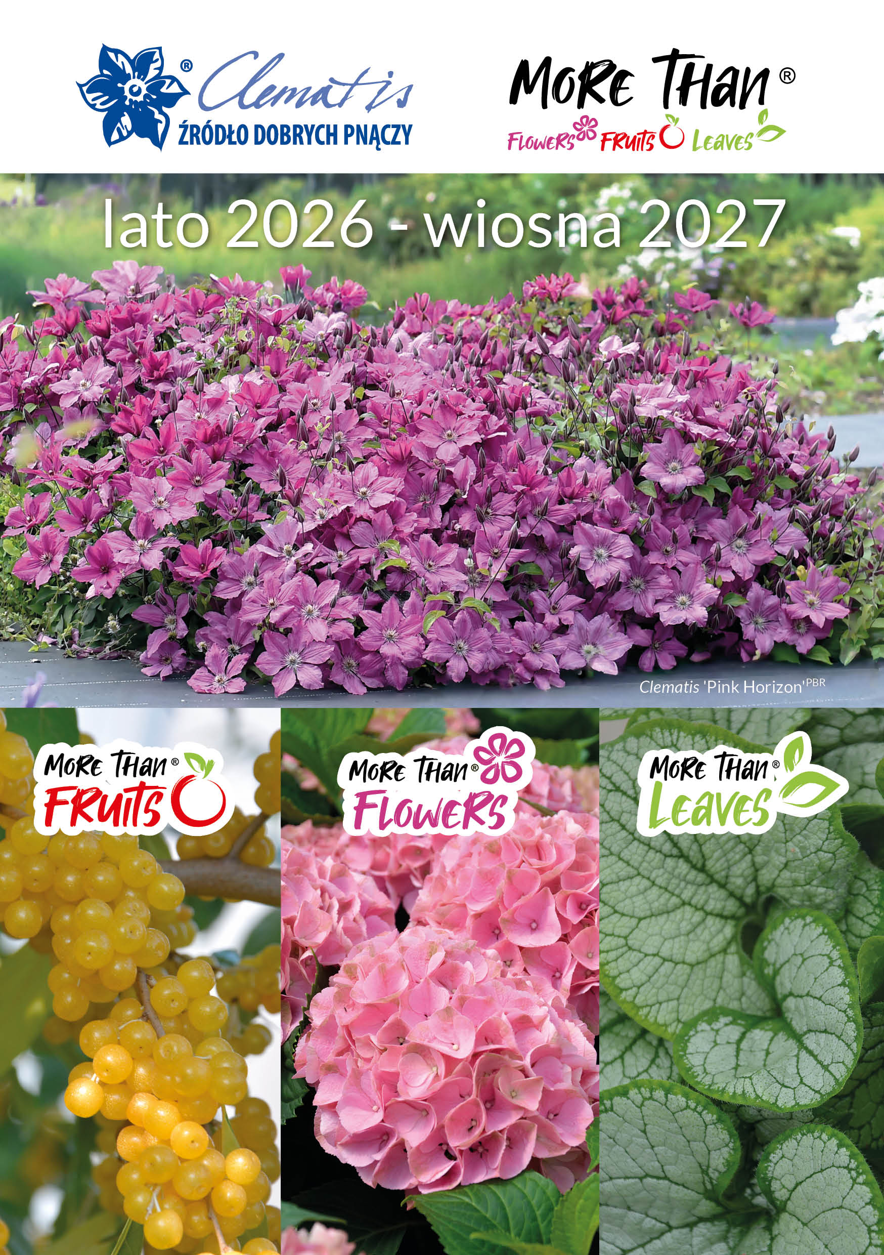oferta wiosna 2026