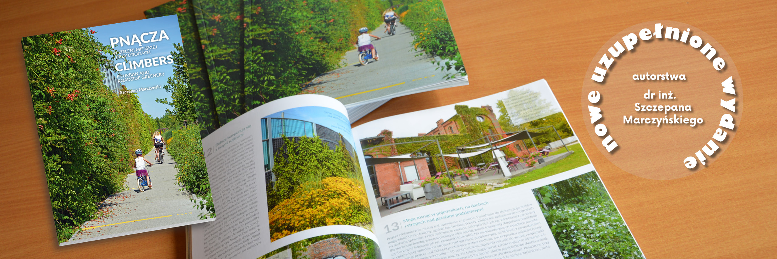 Nowe wydanie broszury 'Pnącza w zieleni miejskiej i przy drogach'