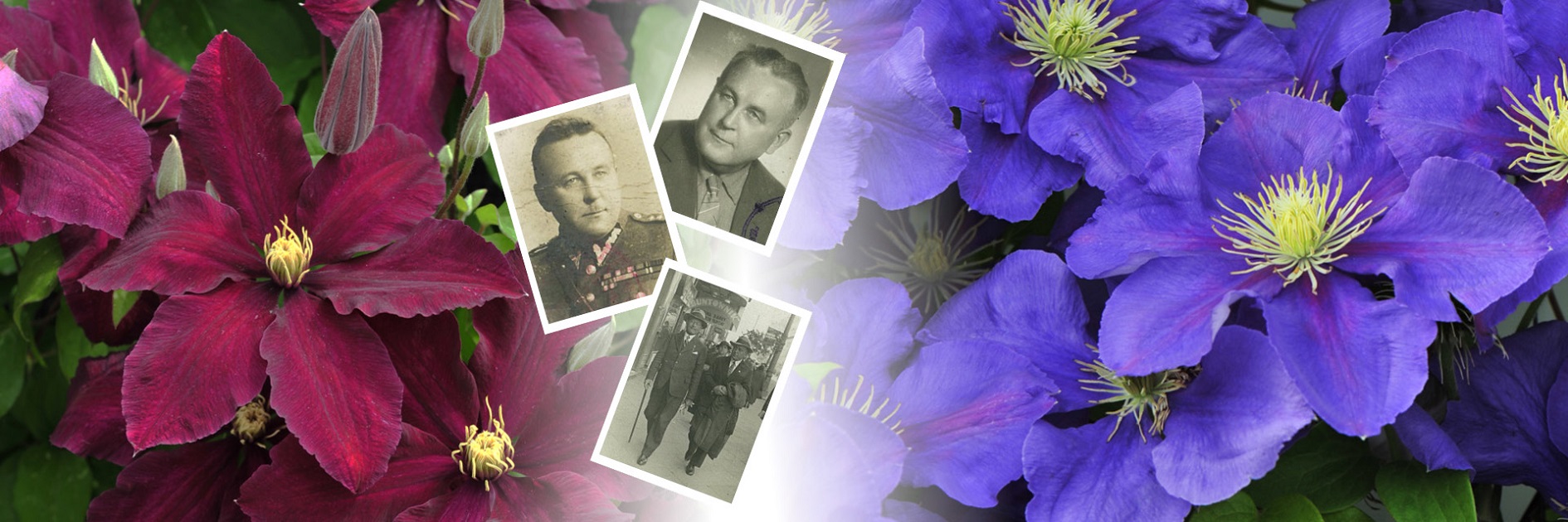 WŁADYSŁAW NOLL I JEGO POWOJNIKI