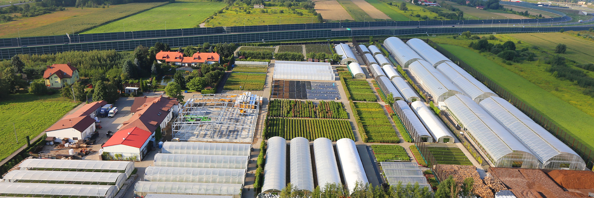Szkółka CLEMATIS Źródło Dobrych Pnączy