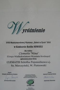 Clematis ‘Nina’ received an honorable mention
