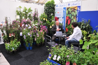 Our stand