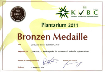 Bronze medal was awarded to 