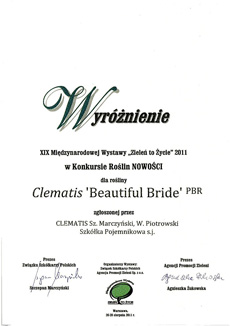 Wyróżnienie dla Clematisu 